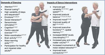 Unleashing the potential of dance: a neuroplasticity-based approach bridging from older adults to Parkinson’s disease patients